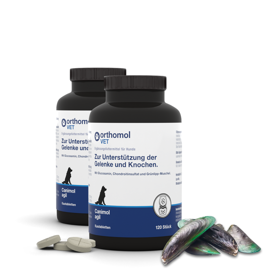 Canimol agil 2x120 Stück Kautabletten