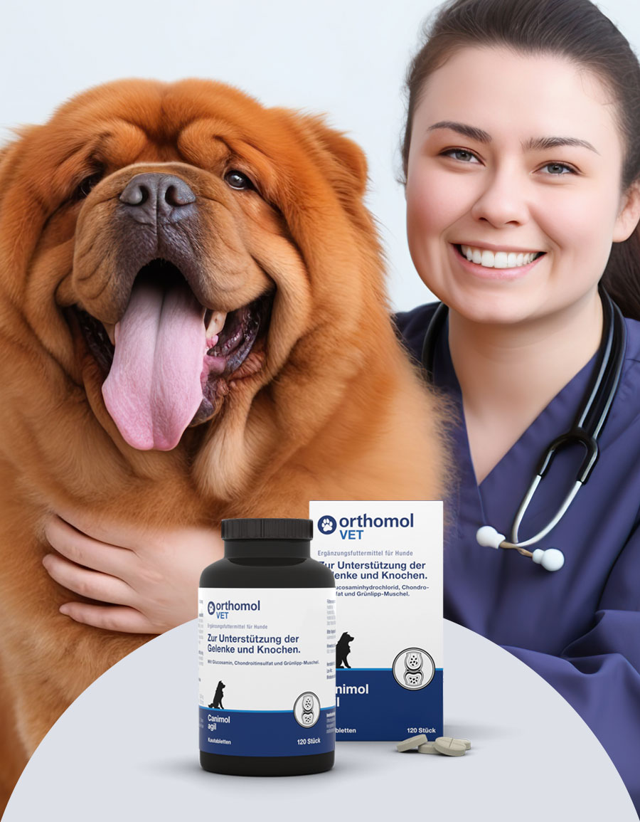 Nahrungsergänzung für Hunde Canimol agil Kautabletten für Gelenke und Knochen